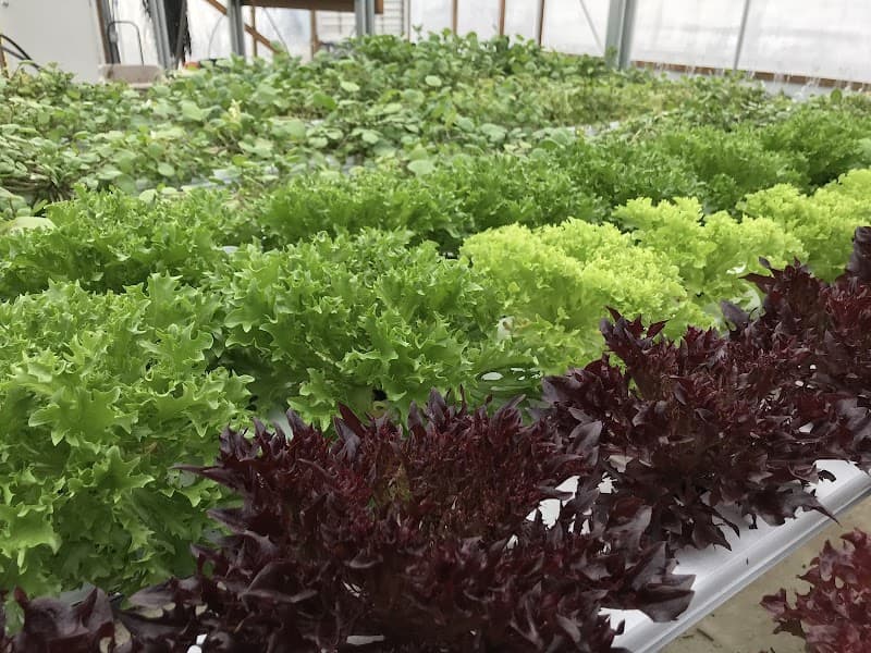 Webb City Farmers Market photo 3