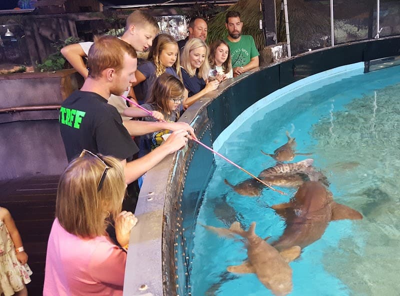 Branson's Wild World photo 3