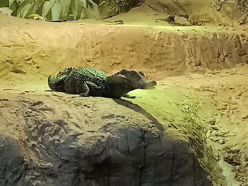 Branson's Wild World photo 5