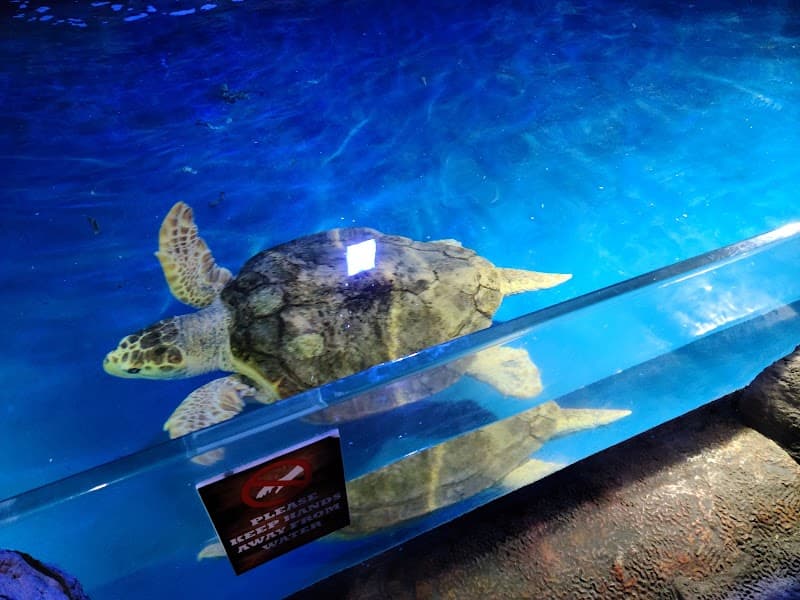 Branson's Wild World photo 6