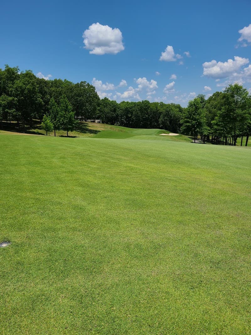 LedgeStone Grille photo 4