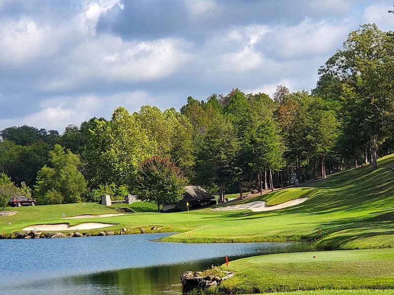 LedgeStone Grille photo 5