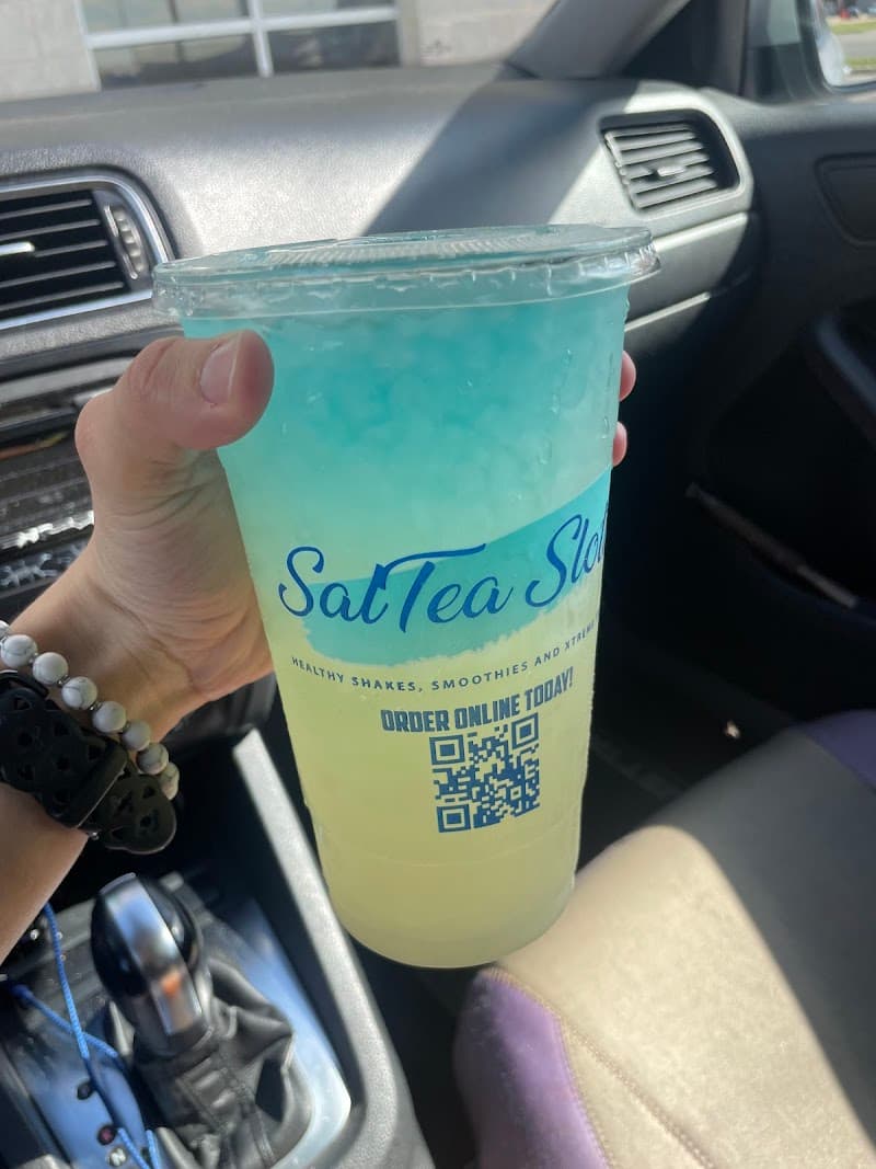 SalTea Sloth photo 3