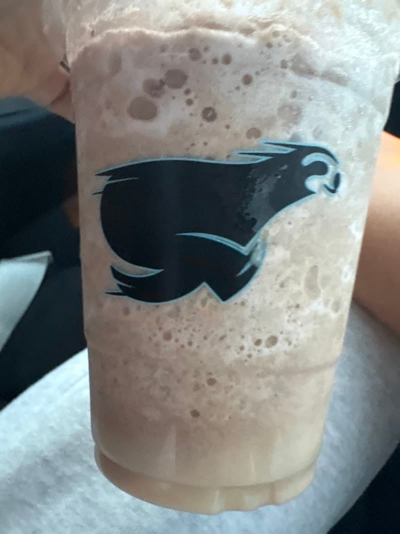 SalTea Sloth photo 4