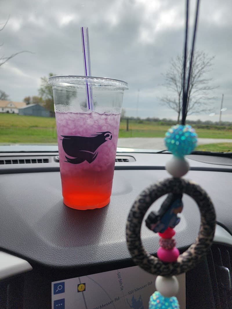 SalTea Sloth photo 5