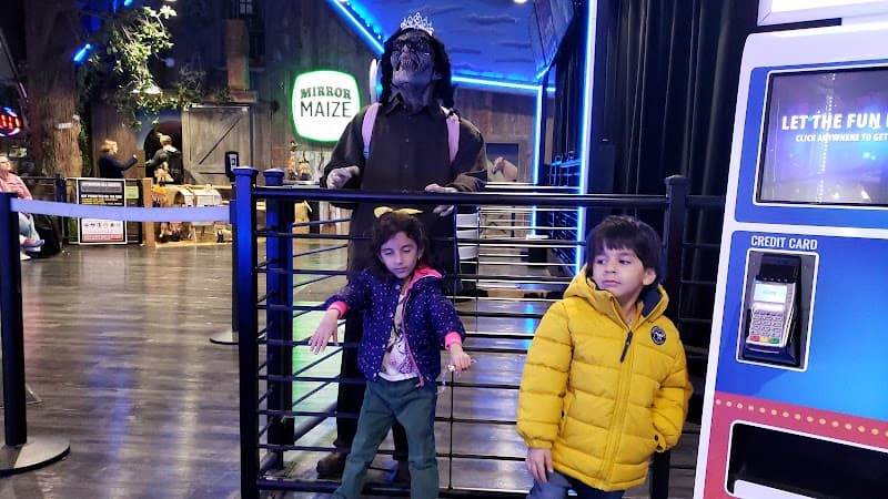 The Mirror Maize photo 5