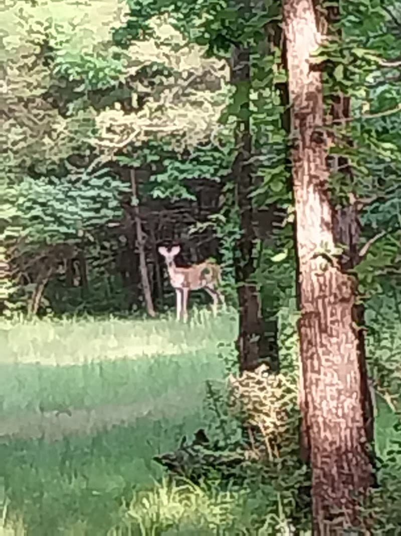 Shawnee Trailhead photo 4