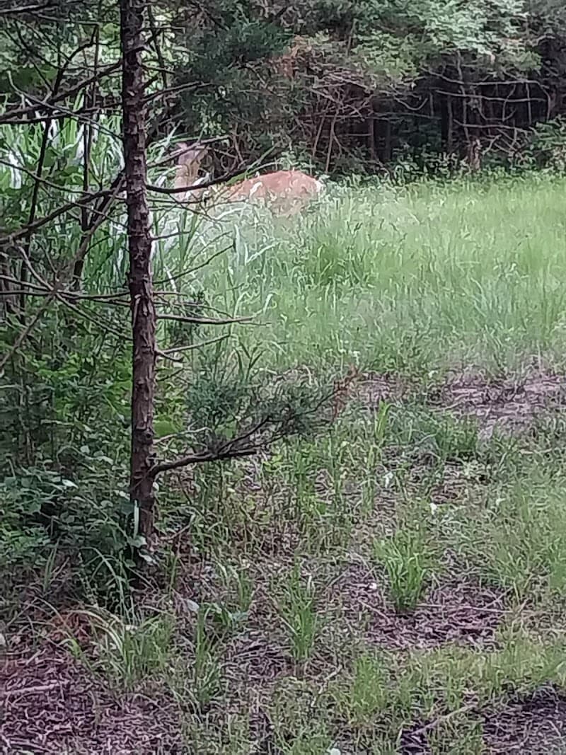Shawnee Trailhead photo 6