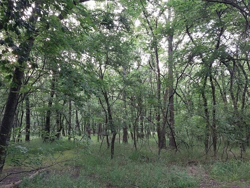 Shawnee Trailhead photo 1