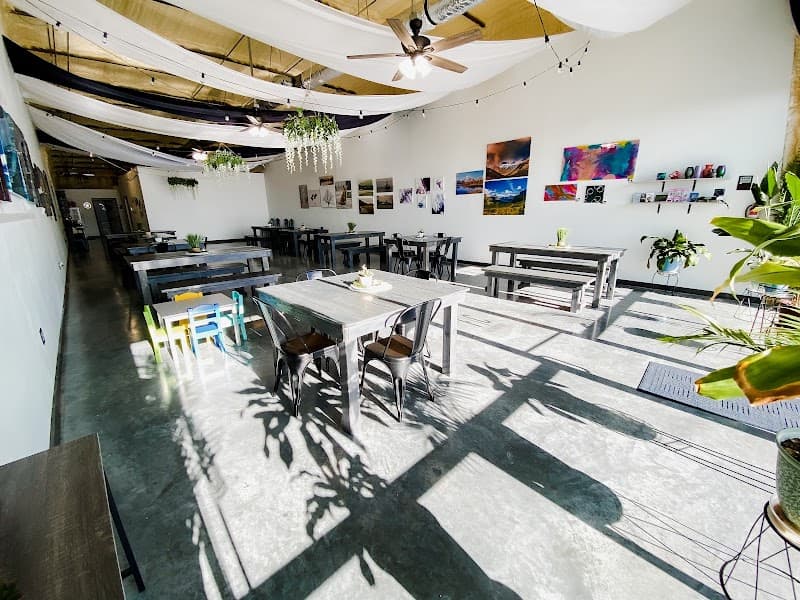 Finley Collective photo 6