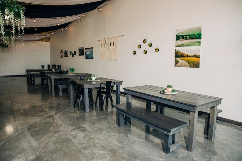 Finley Collective photo 1