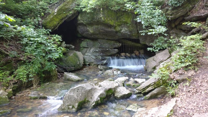 Blowing Springs Park photo 2