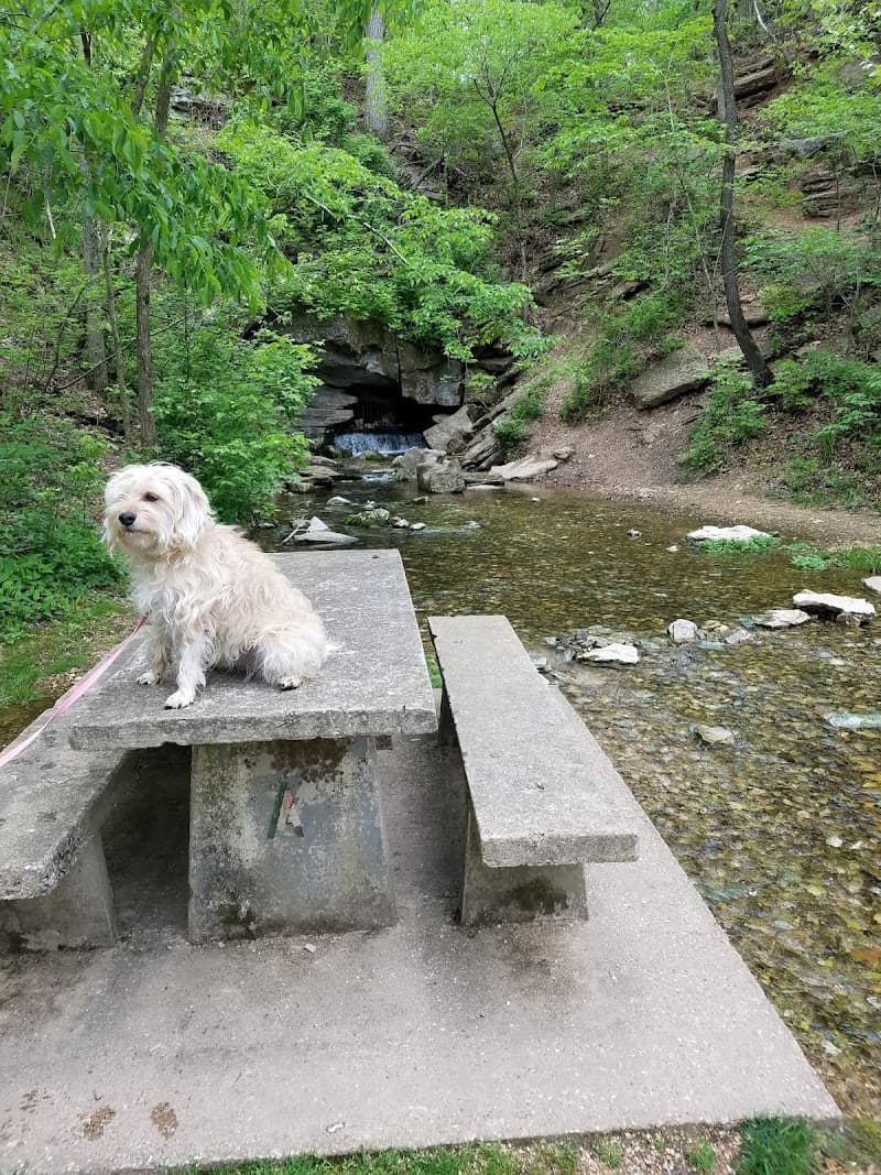 Blowing Springs Park photo 6