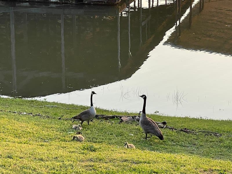 Longs Resort on Grand Lake photo 6