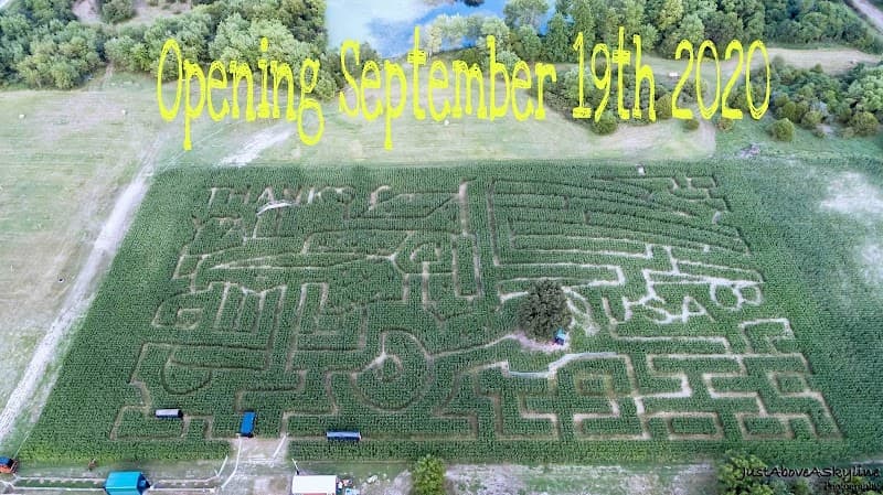 Verona Corn Maze photo 3