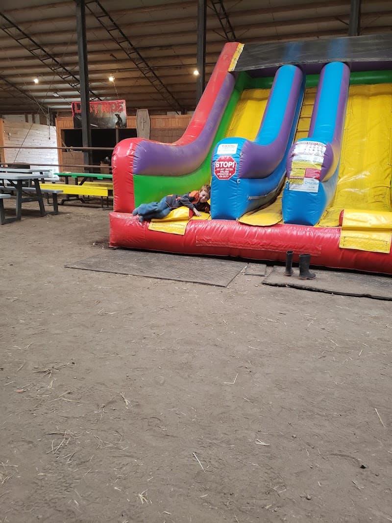 Verona Corn Maze photo 6