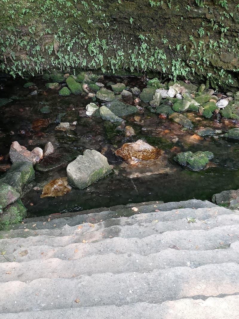 Big Spring Park photo 2