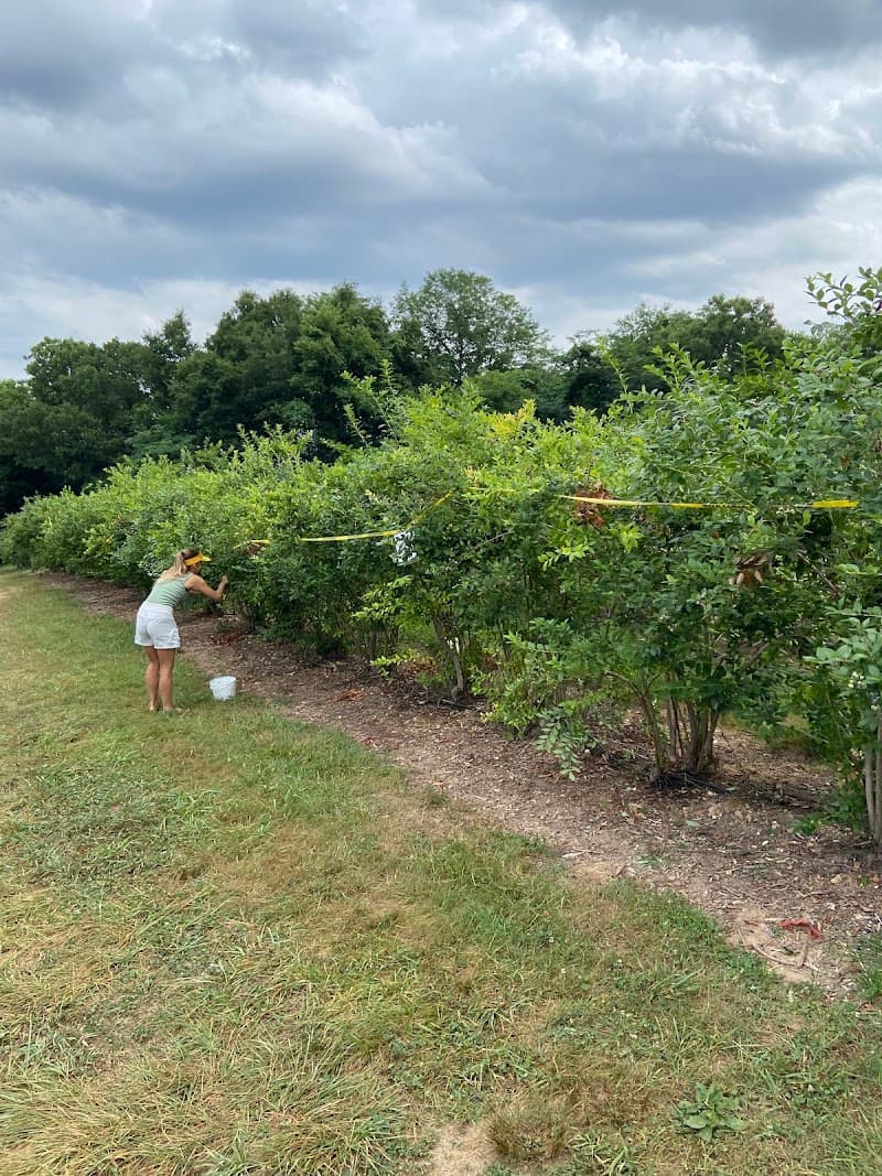 Sunshine Valley Farm photo 3