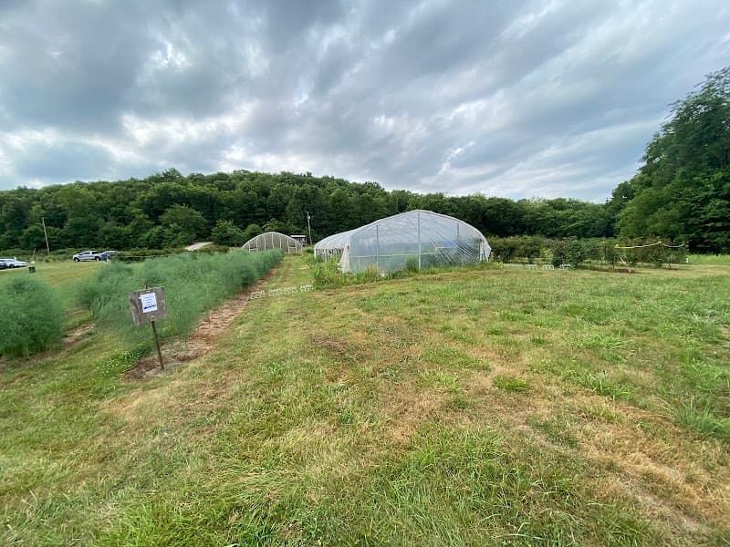 Sunshine Valley Farm photo 4