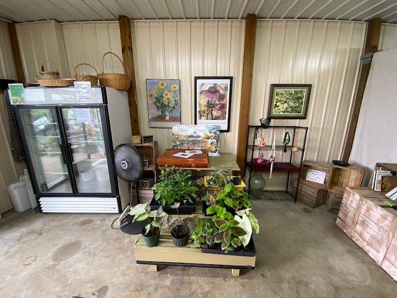 Sunshine Valley Farm photo 5