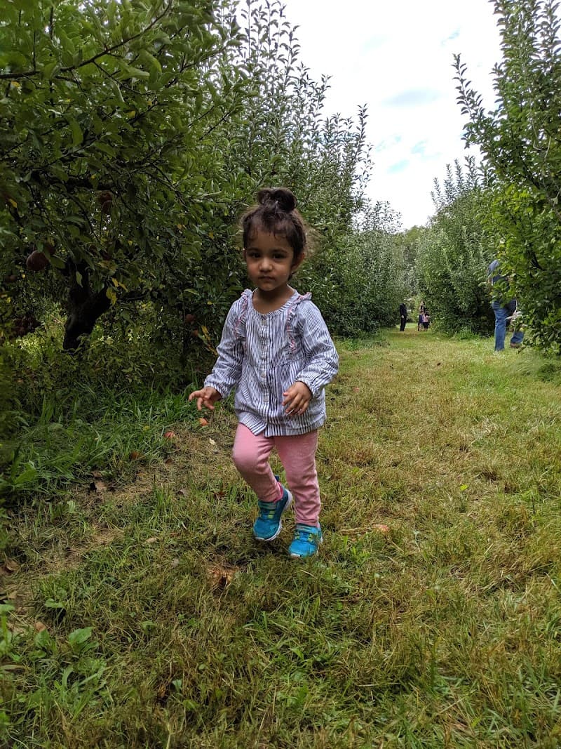 Sunshine Valley Farm photo 6