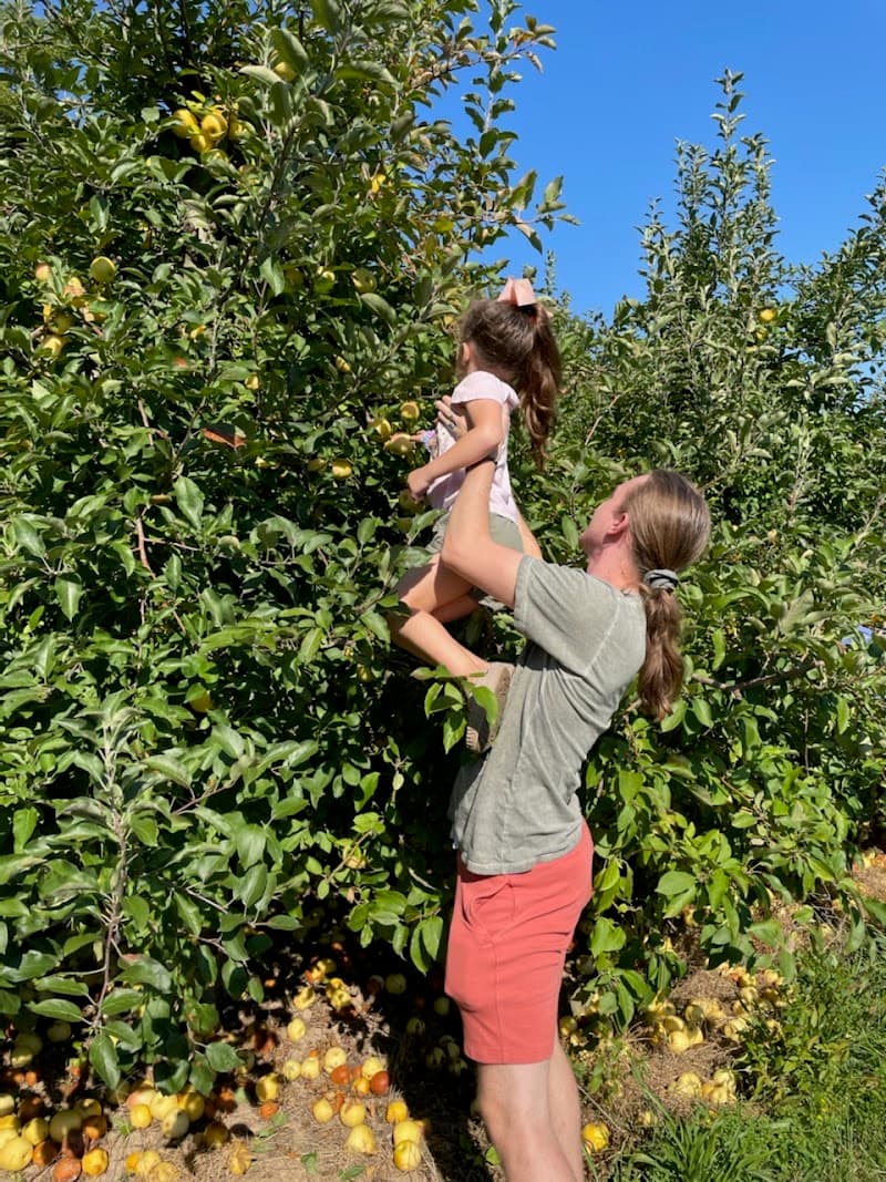 Sunshine Valley Farm photo 1