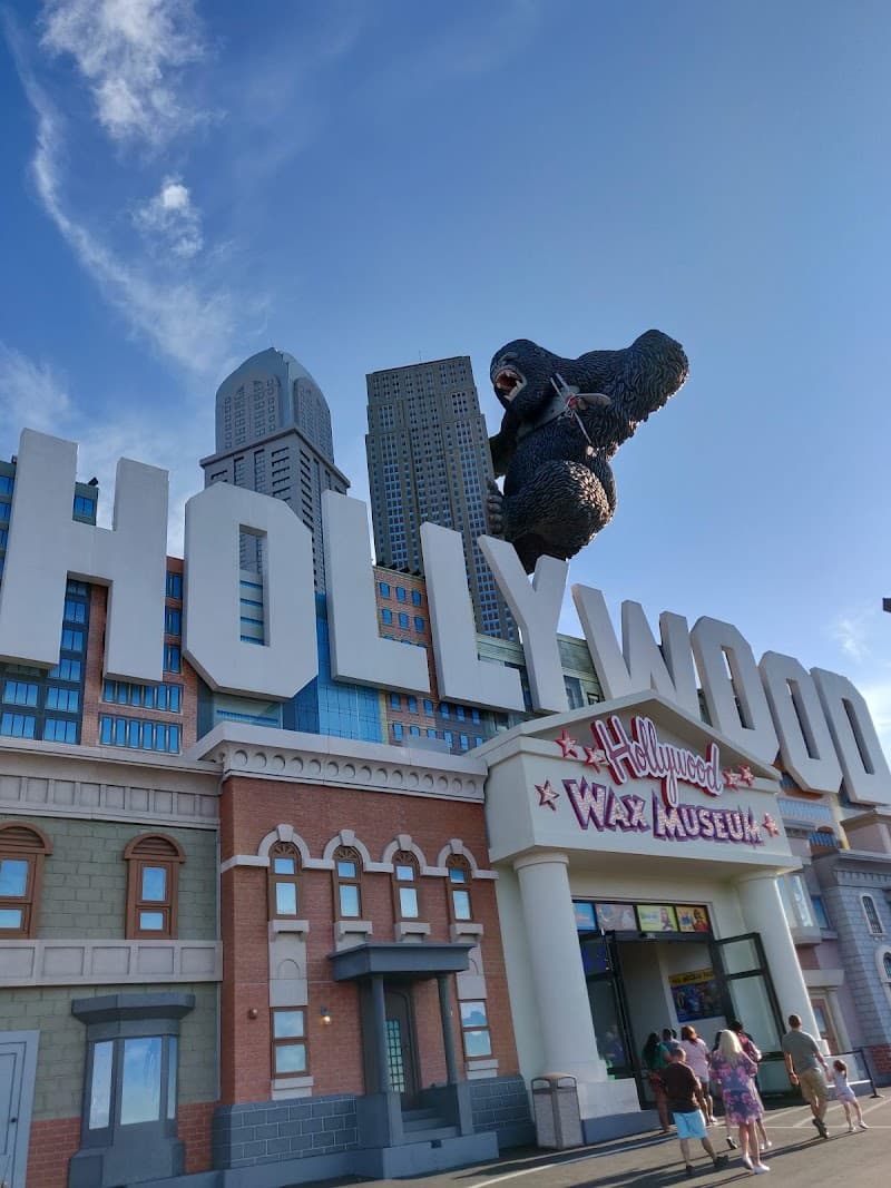 Hannah's Maze of Mirrors photo 4