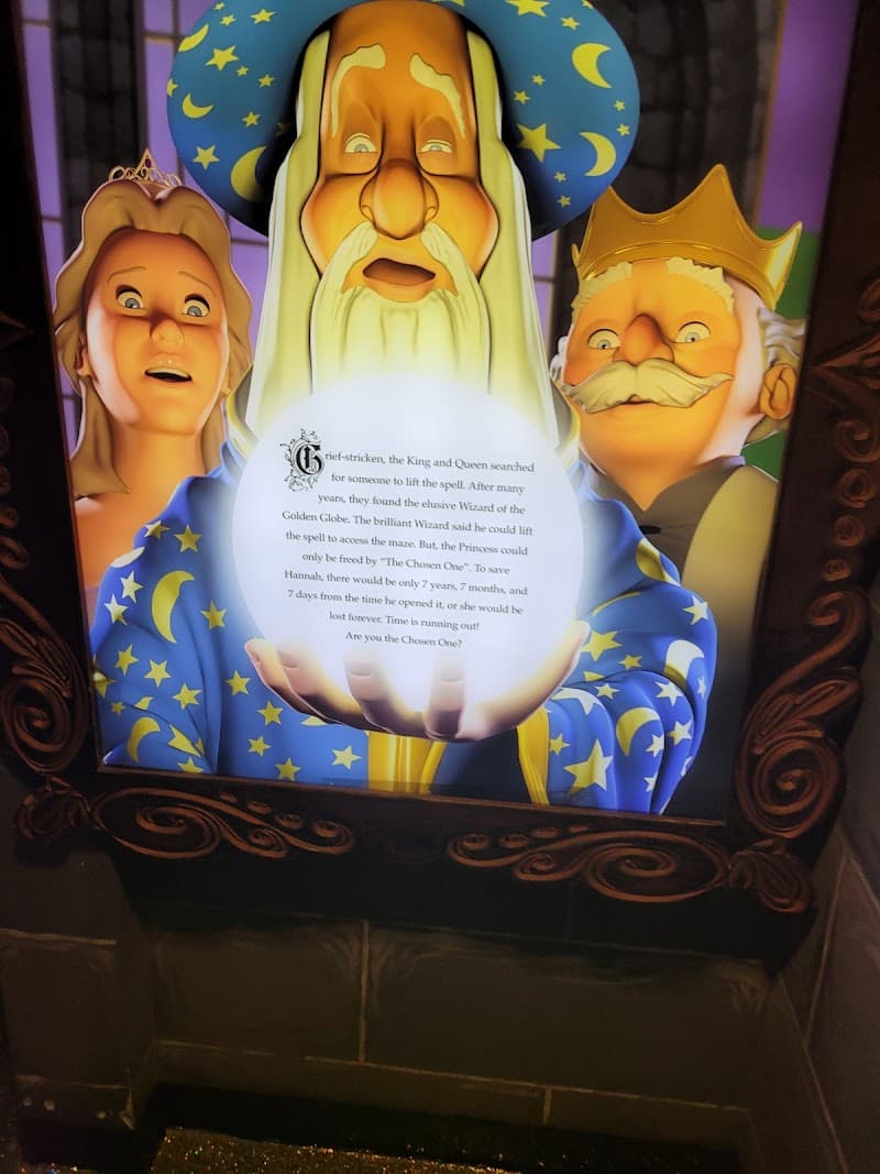 Hannah's Maze of Mirrors photo 5