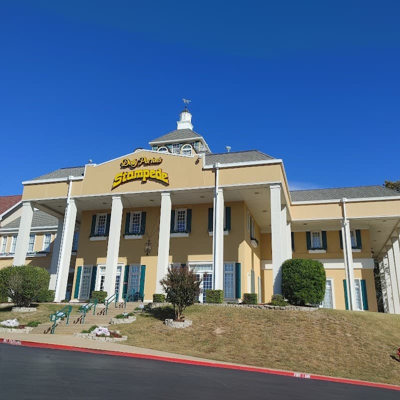 Dolly Parton's Stampede photo 3