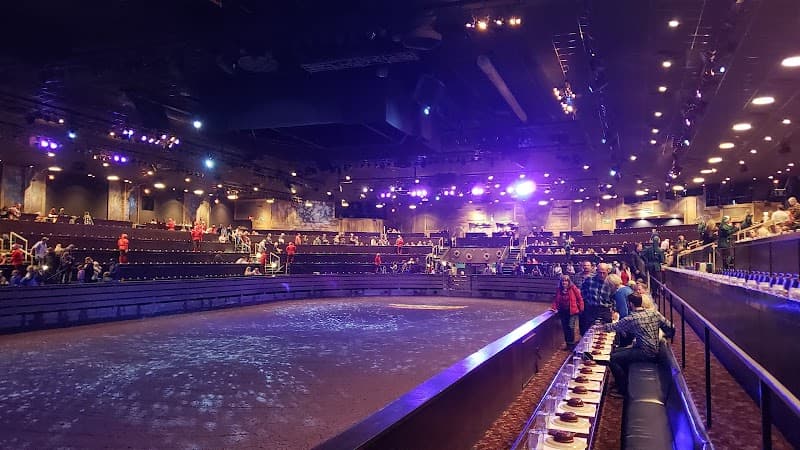 Dolly Parton's Stampede photo 4