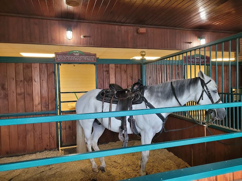 Dolly Parton's Stampede photo 5