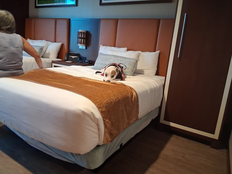 Osage Casino-Bartlesville photo 4