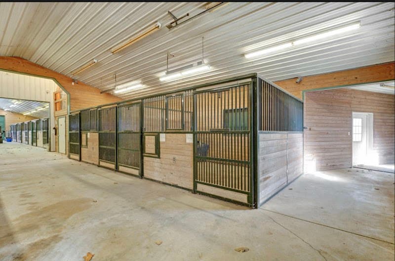 Blue Diamond Equestrian Ranch photo 3