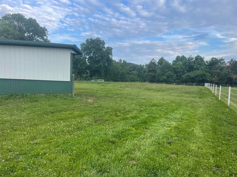 Blue Diamond Equestrian Ranch photo 6