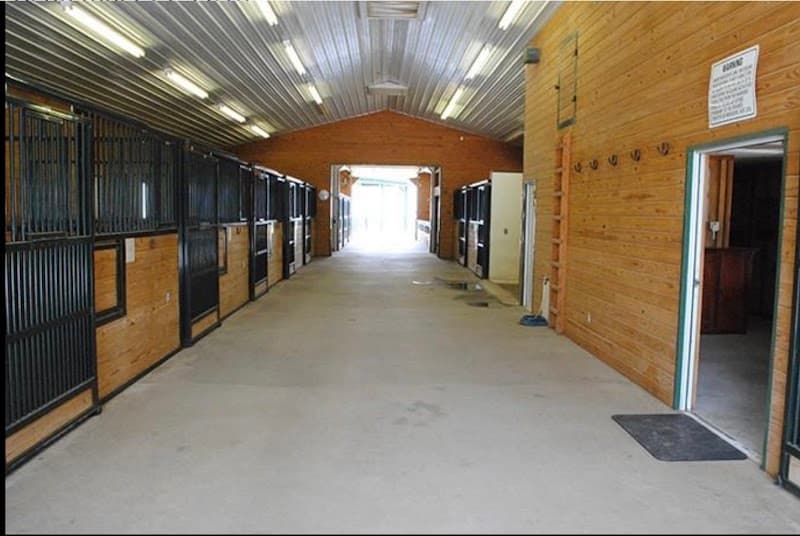 Blue Diamond Equestrian Ranch photo 1