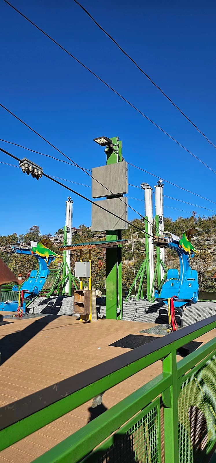 Parakeet Pete's Waterfront Zipline photo 6