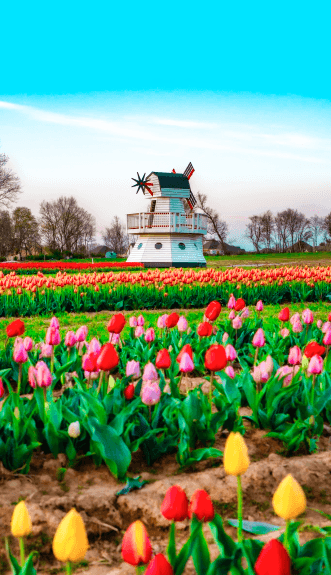 Rivercrest Orchard, LLC photo 3