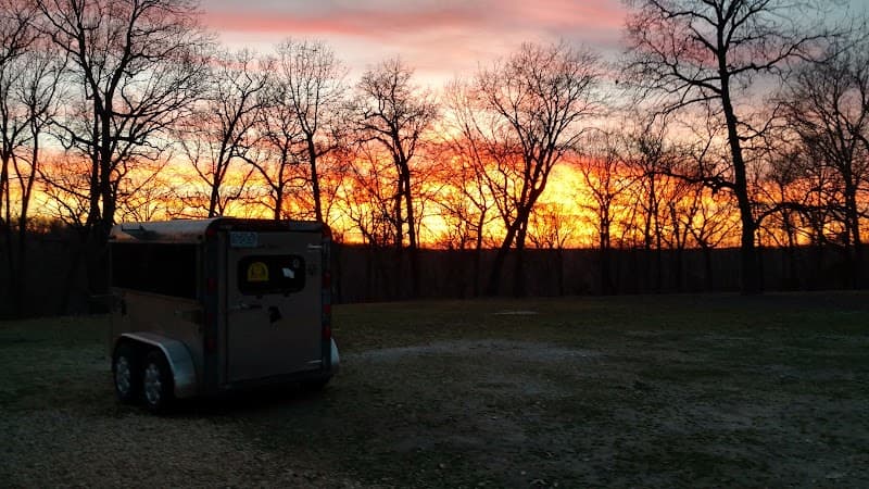 Morning Moon Alpacas photo 6