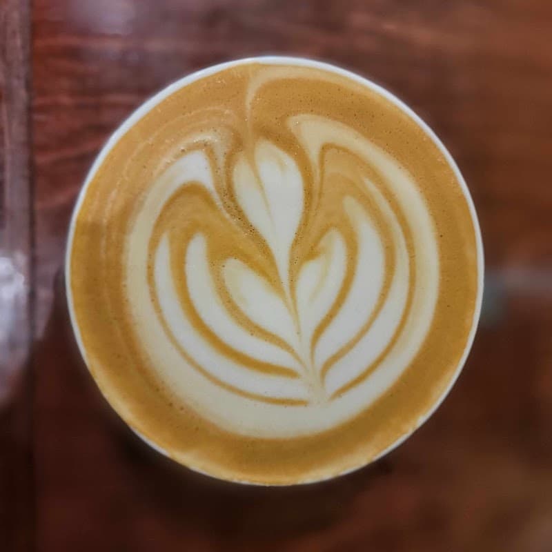 Chapters on Main Bookstore & Coffeeshop photo 6