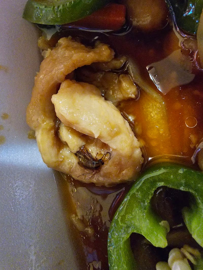 Peking Garden Chinese Restaurant photo 5