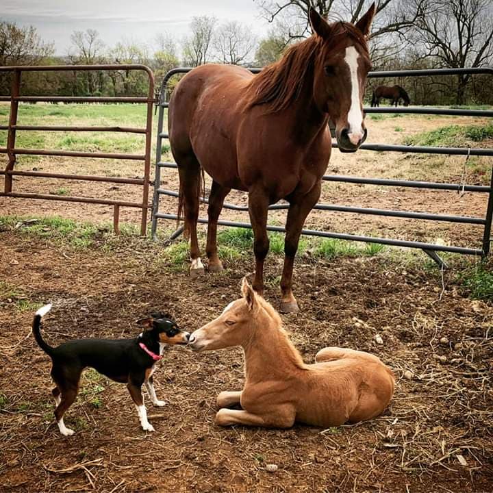 Hilltop Arena photo 3
