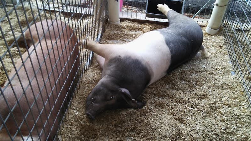 Sebastian County Fairgrounds photo 3