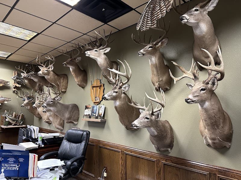 Morrell Targets photo 4