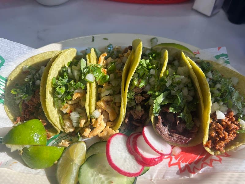 Torres Taqueria Bar and Grill photo 5