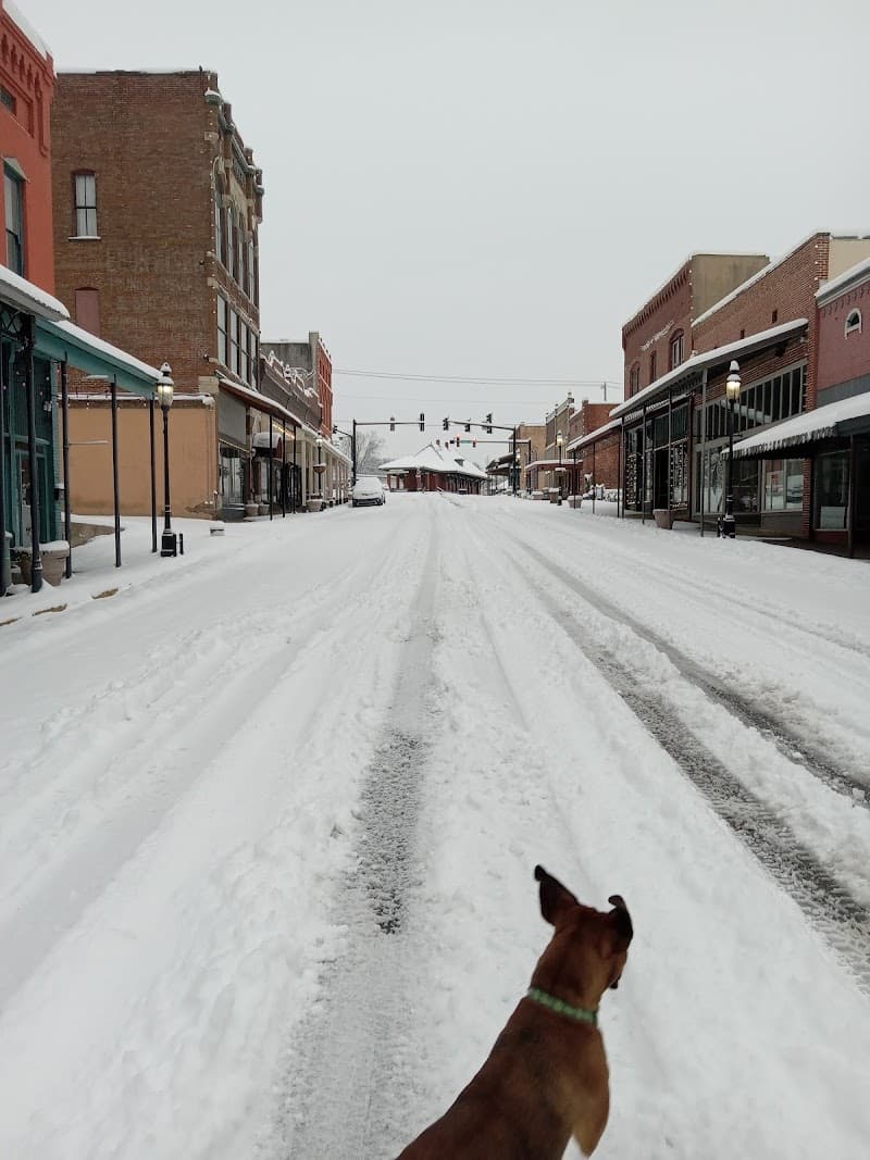 Old Town Van Buren photo 3