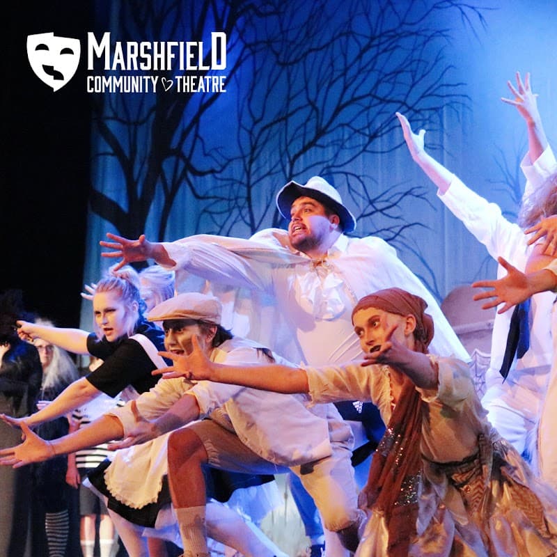 Marshfield Community Theatre photo 2
