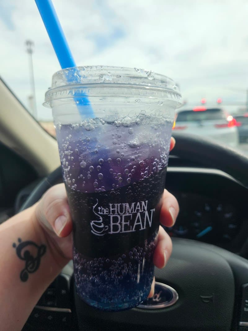 The Human Bean photo 6