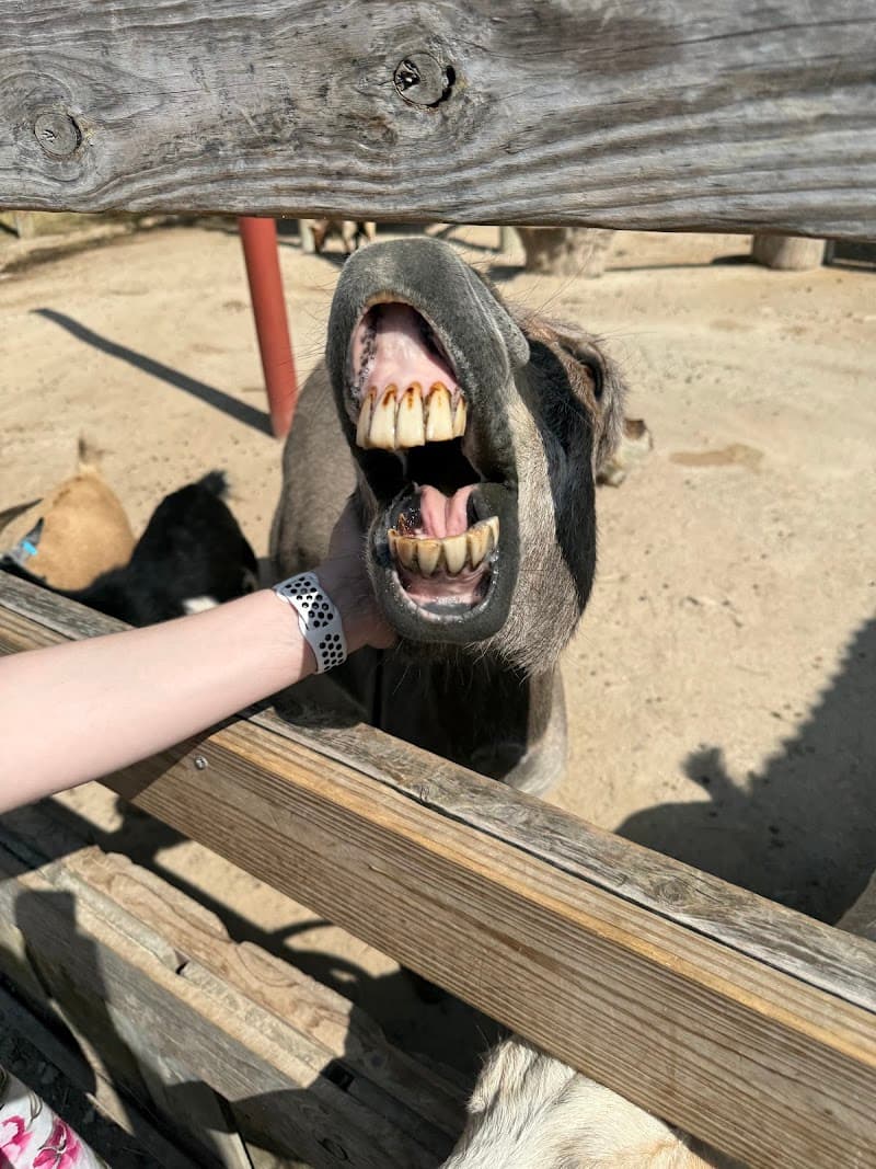 Bush Country Cafe photo 4