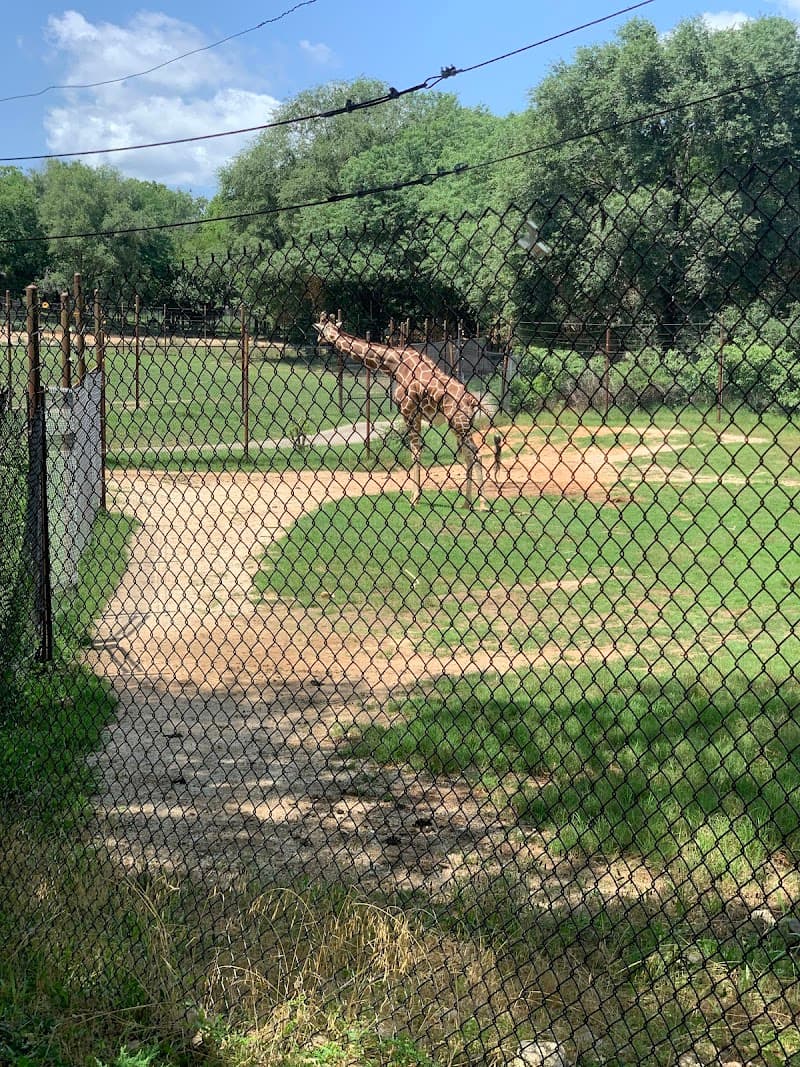 Bush Country Cafe photo 5