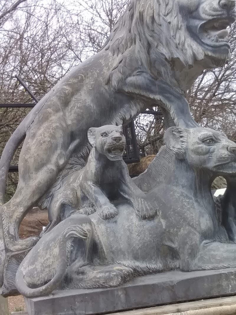 Bush Country Cafe photo 6